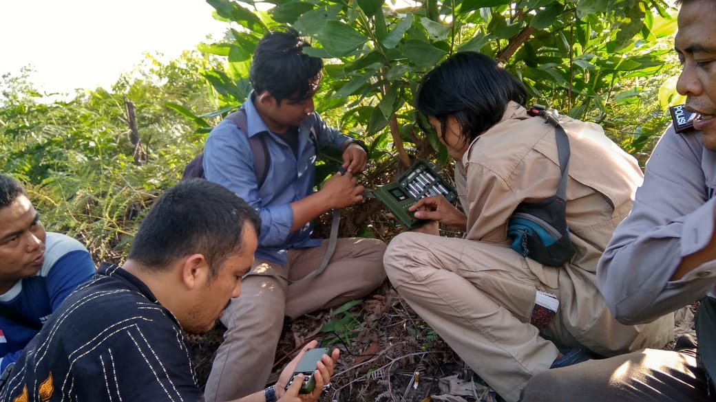 BBKSDA Riau Pasang Kamera Trap di Lokasi Jejak Harimau